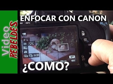 Como enfocar mejor con tu cámara DSRL