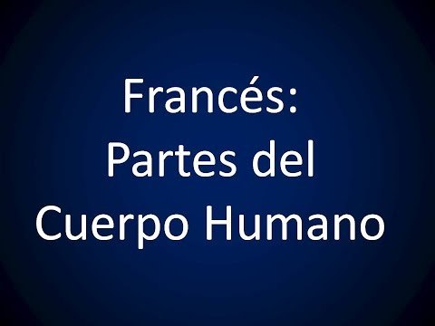 Curso de Francés. Parte 16