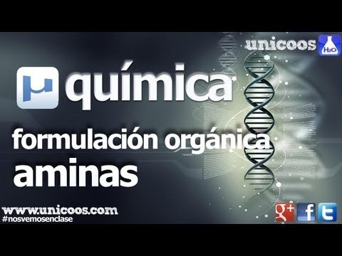 Química orgánica 1º Bachillerato. Aminas