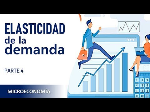 La elasticidad de la demanda. Parte 4