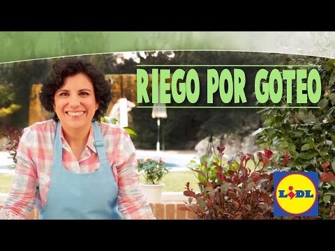 Como montar un riego por goteo