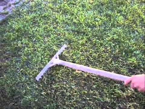 Como resembrar el césped