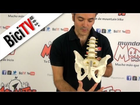 Como elegir el sillín de la bicicleta. Parte 1