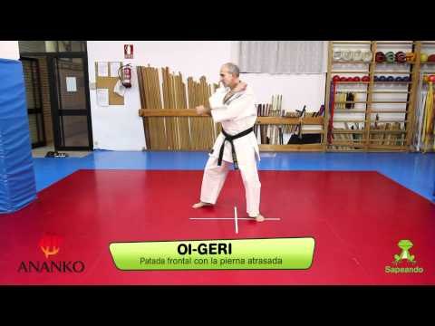 Técnicas de pierna 1 - Karate-do 