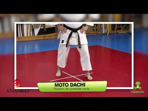 Posiciones 1 - Karate-do 