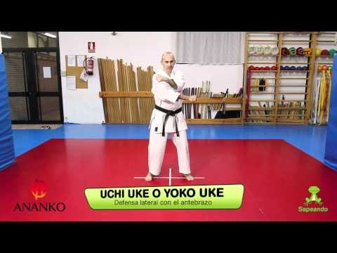 Defensas 1 - Karate-do 