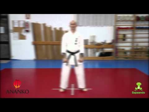Pinan Shodan - Karate-Do 