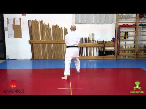 Pinan Nidan - Karate-do 