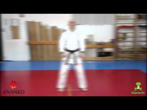 Pinan Sandan - Karate-do 