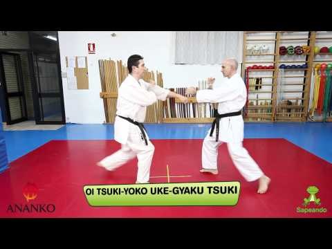 Ippon Kumite  - Karate-do 