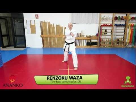 Renzoku Waza  - Karate-do 