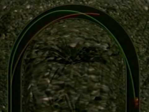 Curso de conducción. Lección 6