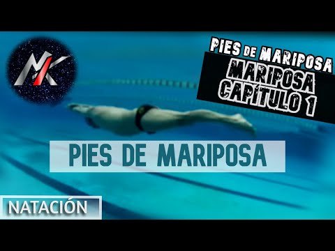 Aprende a nadar. Mariposa I