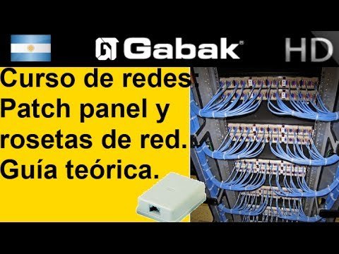 Patch panel y rosetas de red