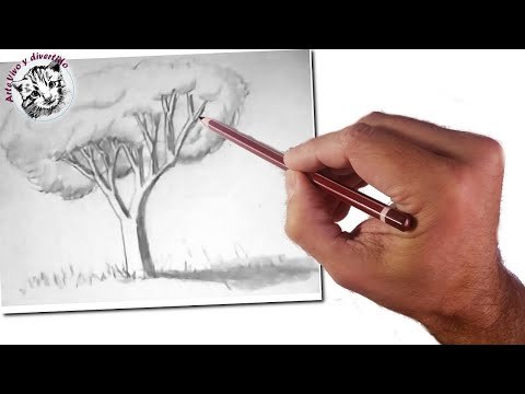 Cómo enseñar a dibujar a niños: Un árbol realista