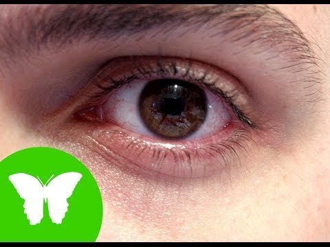 Conocimiento del medio: El sentido de la vista