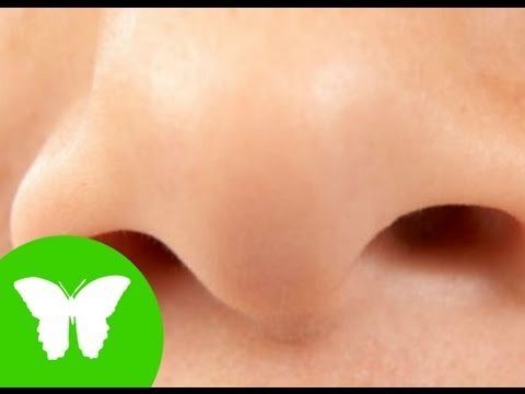 Conocimiento del medio: El sentido del olfato