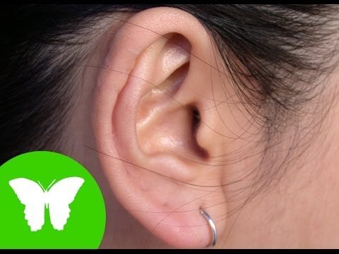 Conocimiento del medio: El sentido del oído