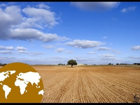 Conocimiento del medio: El paisaje de la llanura