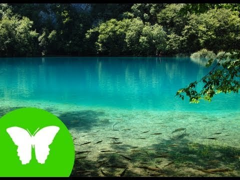 Conocimiento del medio: Los ecosistemas