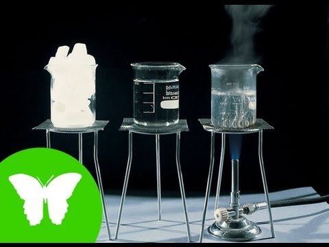 Conocimiento del medio: El agua y sus estados