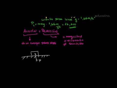 Que es el peso y la masa