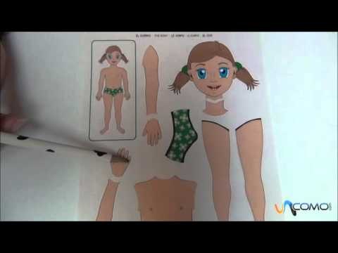 Las partes del cuerpo en italiano