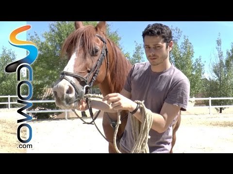 Hípica: Como trabajar la cuerda