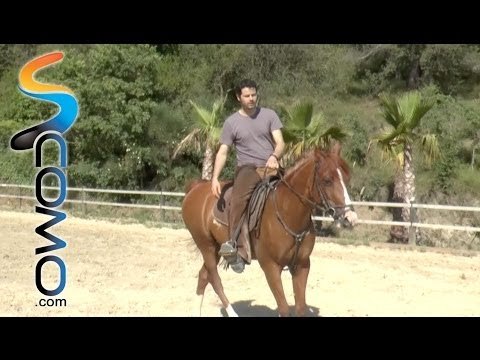Hípica: Como girar al caballo