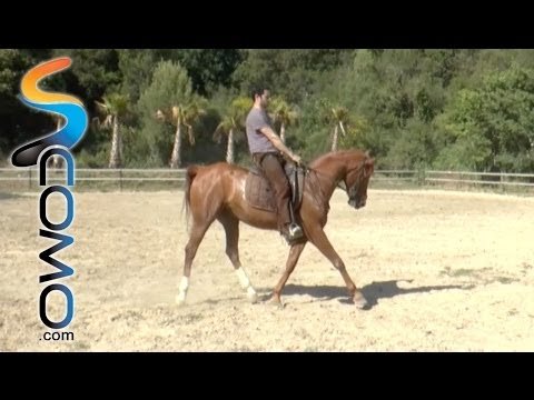 Hípica: Como frenar y hacer correr al caballo