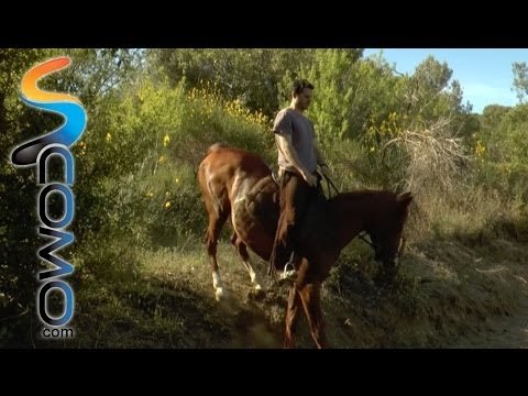 Hípica: Como bajar cuestas con el caballo