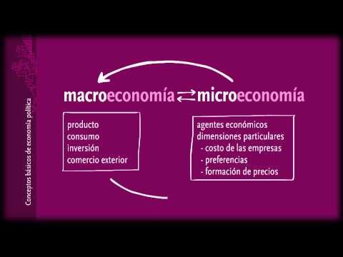 Conocimientos básicos de Macro y Microeconomía.