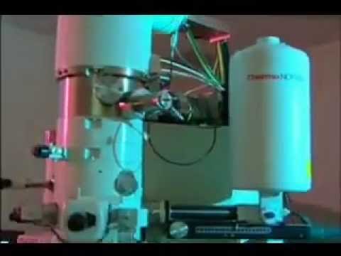 La Física - Una ciencia emocionante