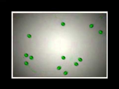 Teoría Cinético Molecular