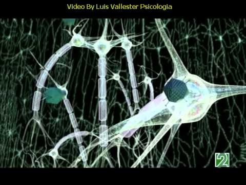 La depresión, tratamiento en psicología clínica y psiquiatría