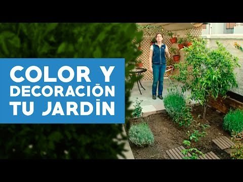 Decorar el jardín - ¿Cómo agregar color?