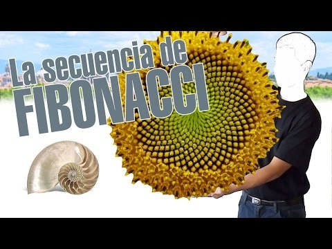 La secuencia de Fibonacci