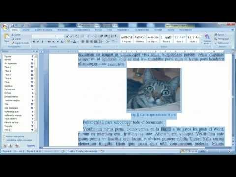 Aprende Microsoft Word (2ª Parte)