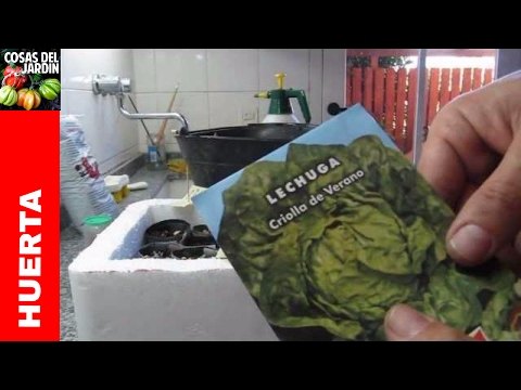 Germinar semillas paso a paso para