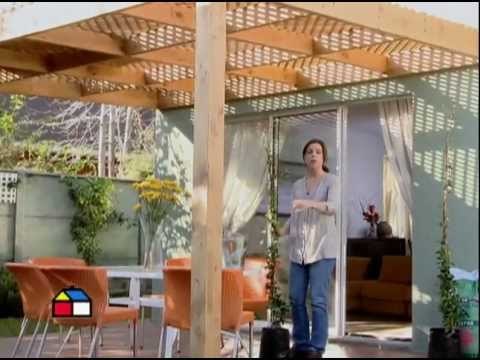 Plantar y cuidar enredaderas