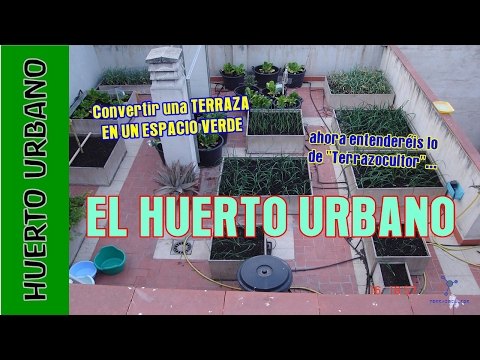 Hortalizas en maceta