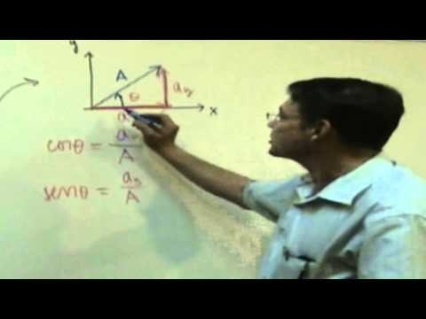Vectores y su Representación