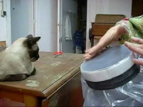 Cómo hacer un tambor en 30 segundos