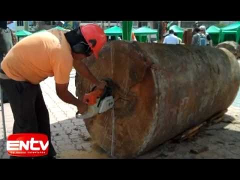 Escultura de madera a motosierra