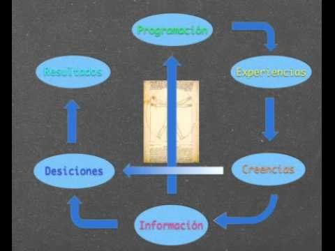 Fundamentos de la Inteligencia Financiera