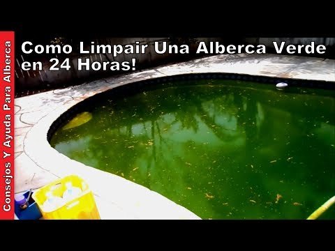 Limpiar una piscina verde 2/2