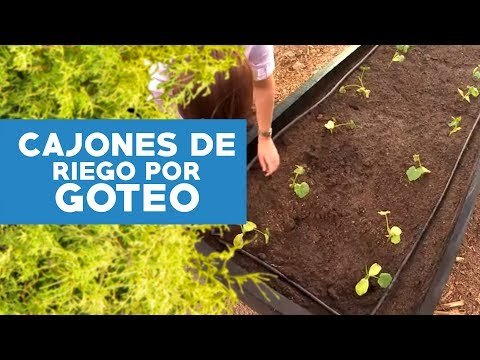 Huerta en cajones con riego por goteo