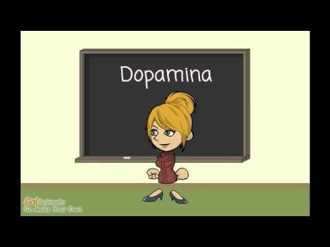 El comportamiento - Bases biológicas