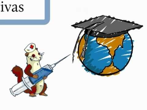 Conceptos Básicos sobre Microeconomía