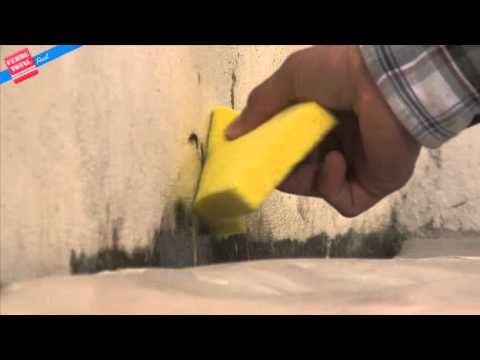 ¿Cómo eliminar Moho en las paredes?